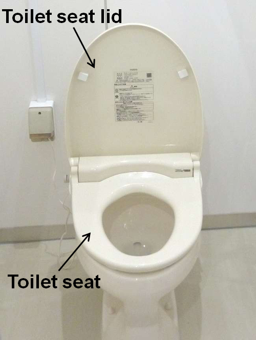 phtograph of Western style toilet